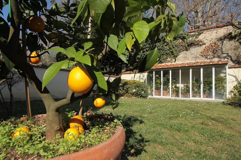 Il Diospero B&B Флоренция Экстерьер фото